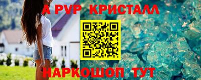 spice Кингисепп