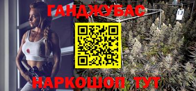 spice Кингисепп