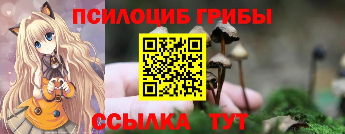 Комсомольск-на-Амуре  Псилоцибиновые грибы Magic Shrooms  Галлюциногенные грибы прущие грибы  Вход с VPN 